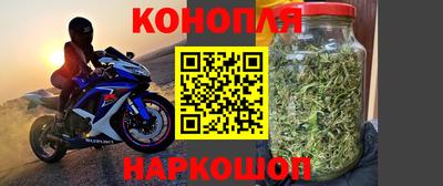 Альфа ПВП Севастополь
