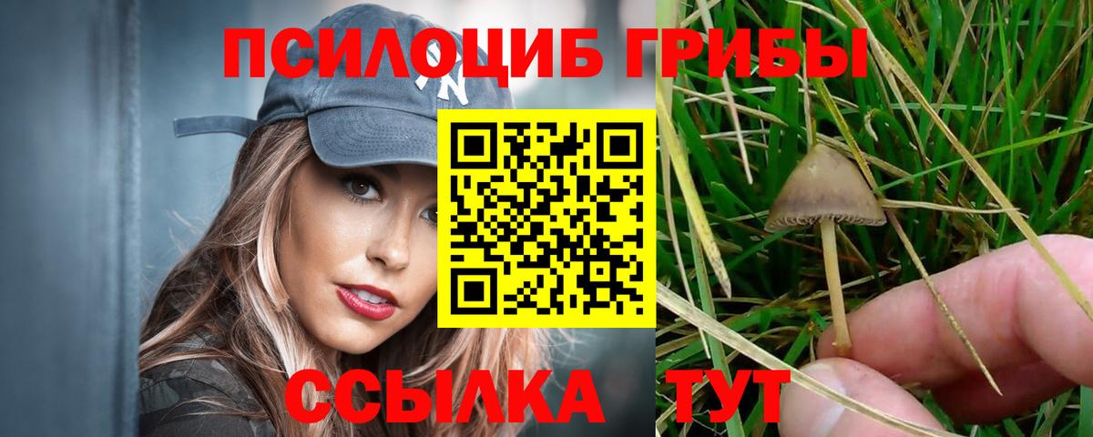 Псилоцибиновые грибы Psilocybine cubensis  Вход с VPN  Нижнеудинск 