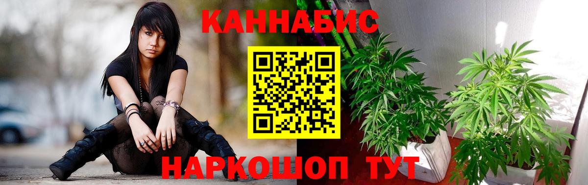 Нижнеудинск  Каннабис план  Конопля SATIVA & INDICA  Вход с VPN 